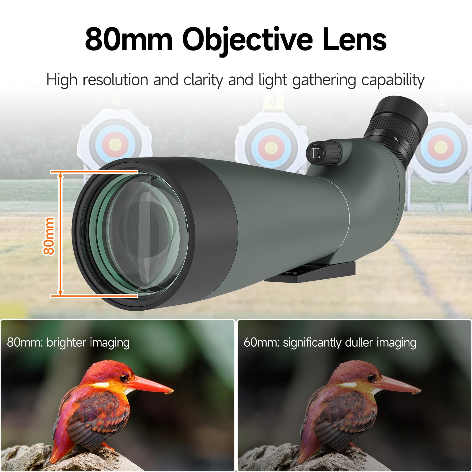 SVBONY SV14 Spotting Scope with Tripod and Phone Adapter Bak4 Prism Waterproof FMC Optical Lens 45-Degree Angled Eyepiece for Bird Watching Wildlife Viewing