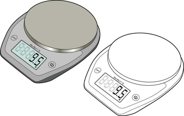 Kitchen Digital Weight Scale