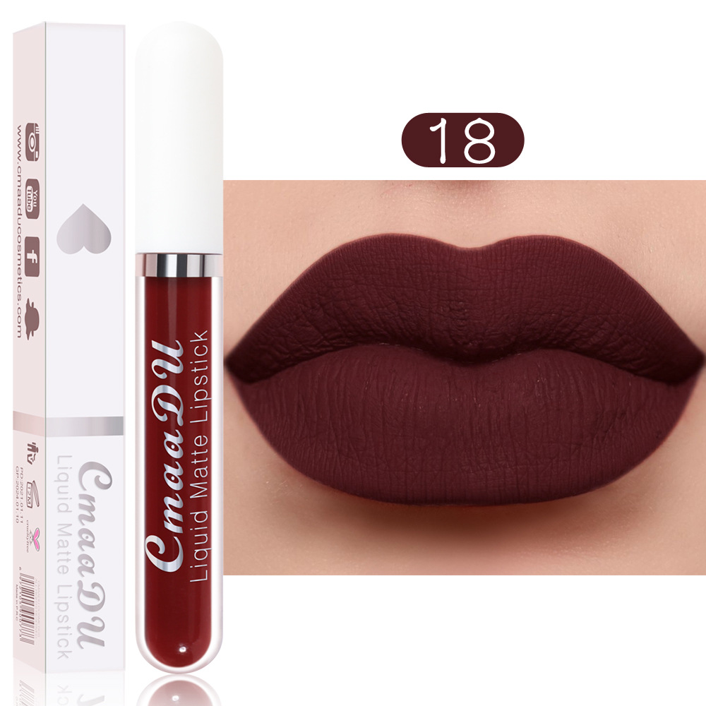 Miss & Mrs 24h Long Lasting Water Proof Matte Lip golss shade - 06